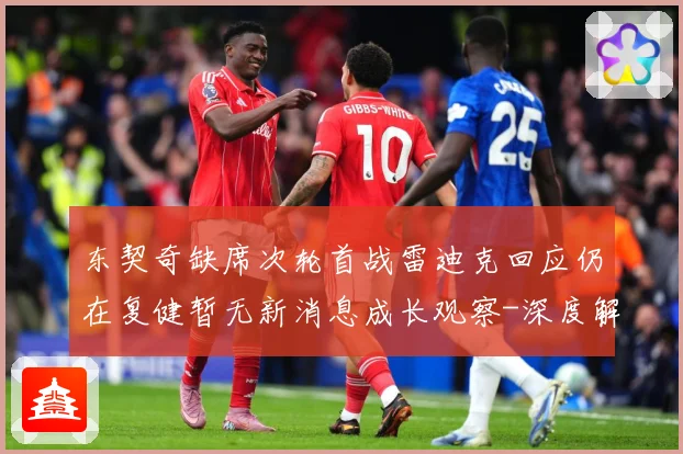 东契奇缺席次轮首战雷迪克回应仍在复健暂无新消息成长观察-深度解析
