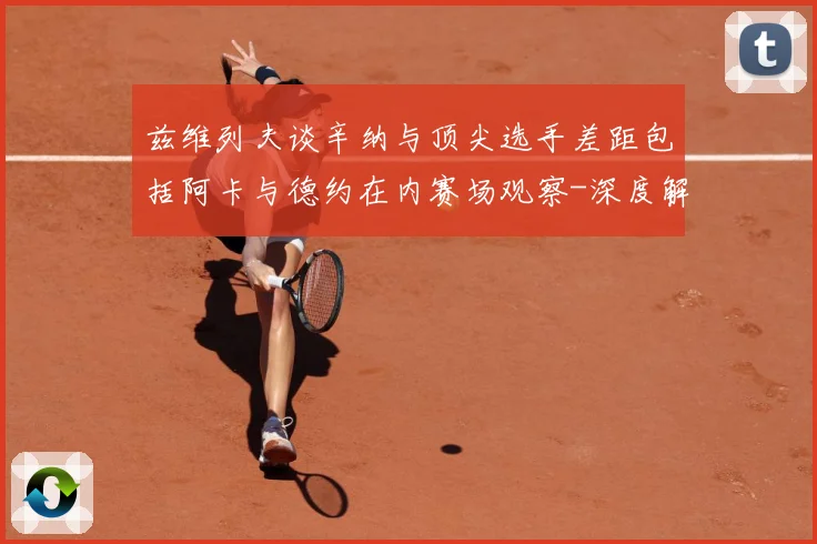 兹维列夫谈辛纳与顶尖选手差距包括阿卡与德约在内赛场观察-深度解析