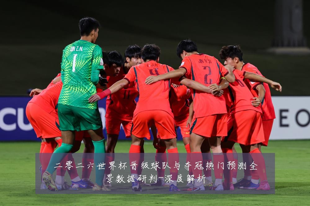 二零二六世界杯晋级球队与夺冠热门预测全景数据研判-深度解析