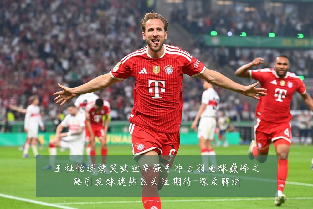 王祉怡连续突破世界强手冲击羽毛球巅峰之路引发球迷热烈关注期待-深度解析