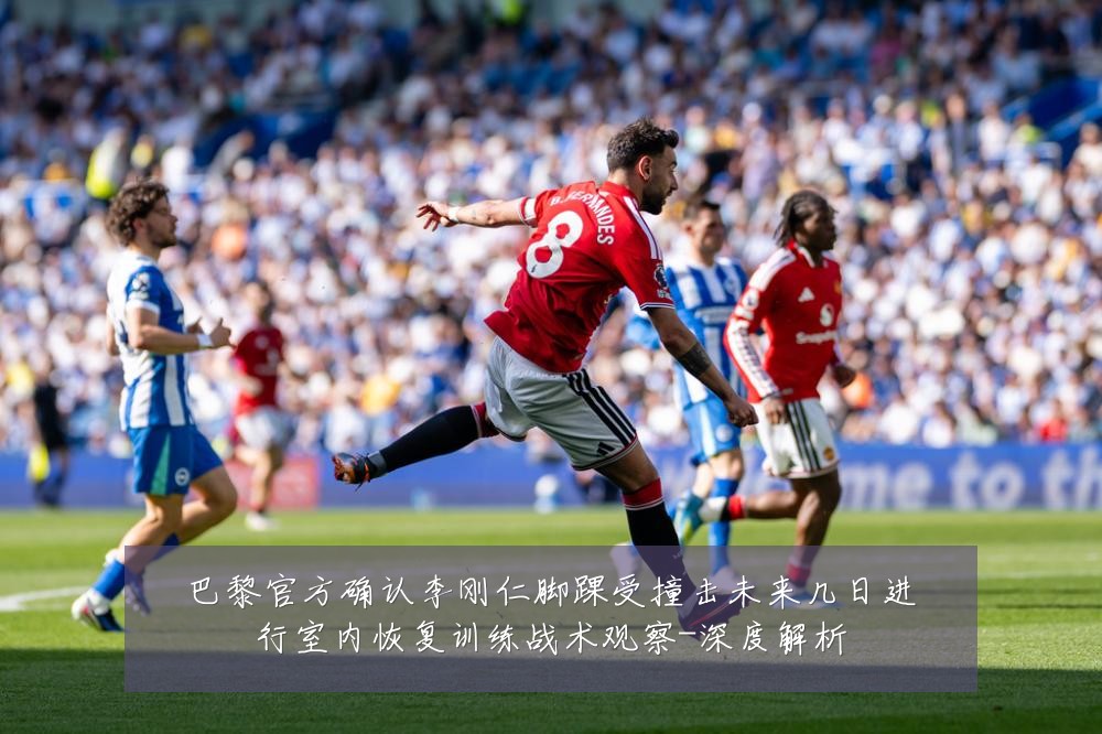 巴黎官方确认李刚仁脚踝受撞击未来几日进行室内恢复训练战术观察-深度解析