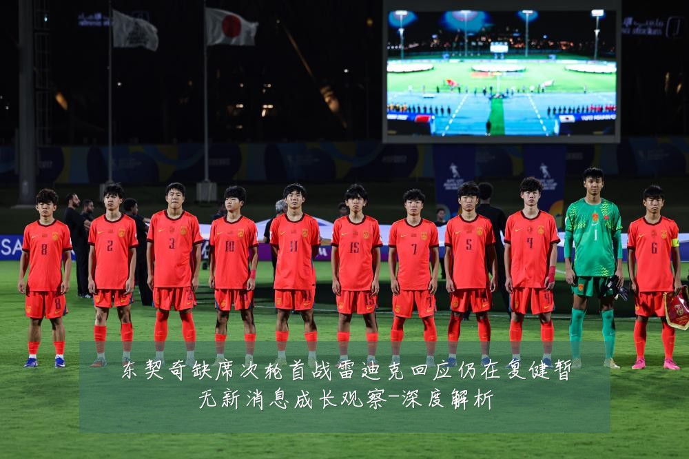 东契奇缺席次轮首战雷迪克回应仍在复健暂无新消息成长观察-深度解析